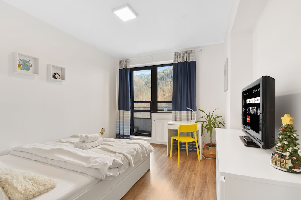 One Bedroom with Mountain View view 3