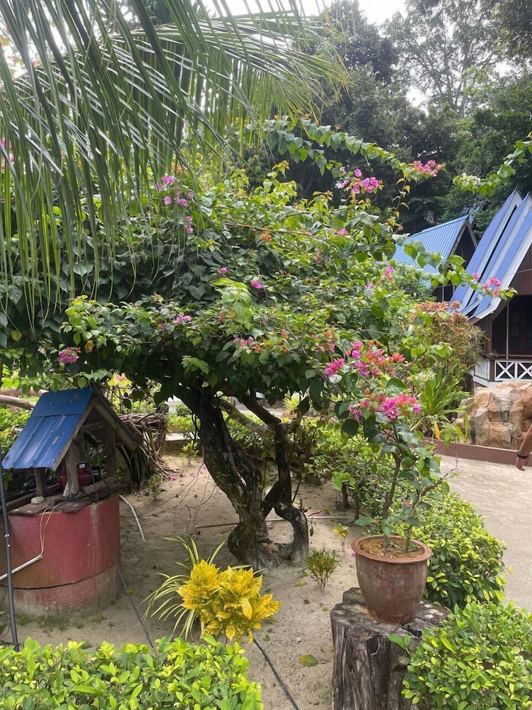 CoralView Perhentian BlueStar