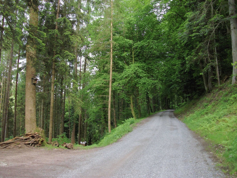 Ferienwohnung in Schiltach view 4