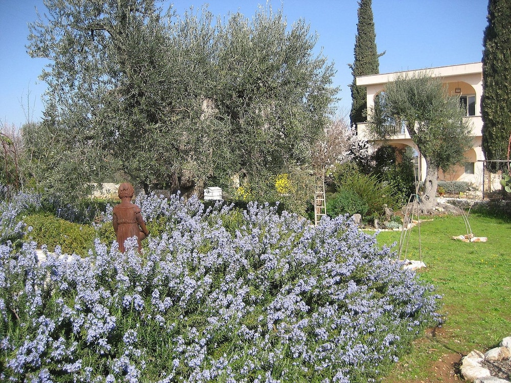 Photo 20