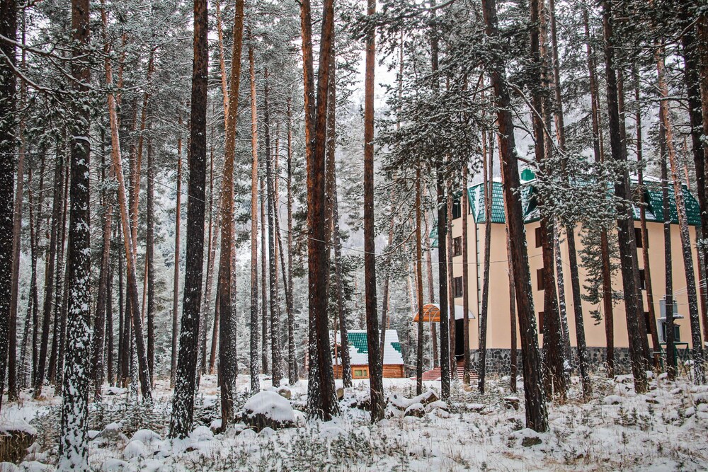Hotel Sosnoviy Bor