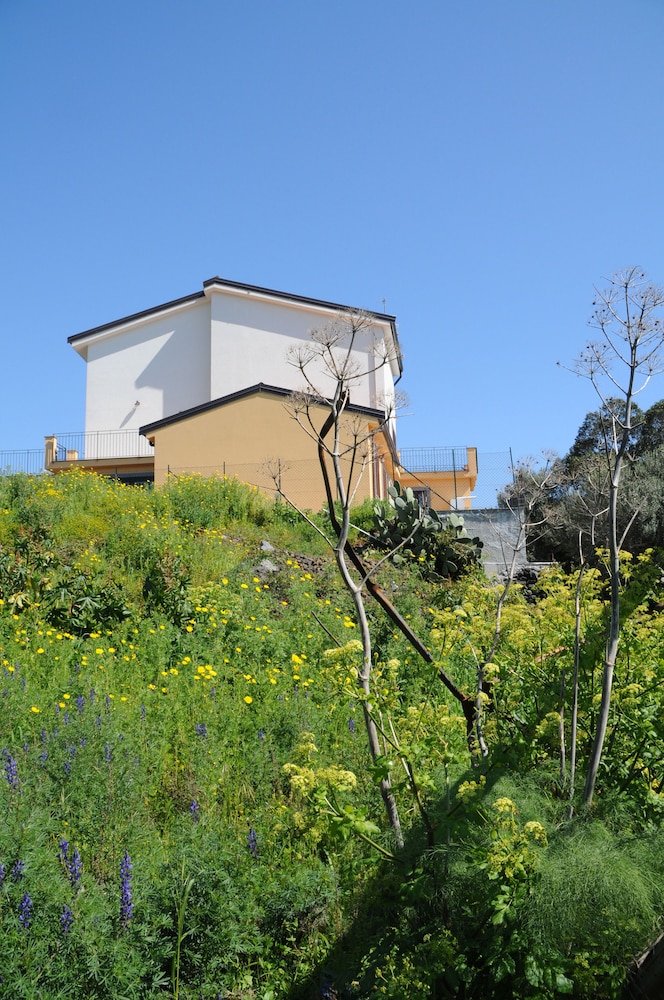 La Circumetnea B&B