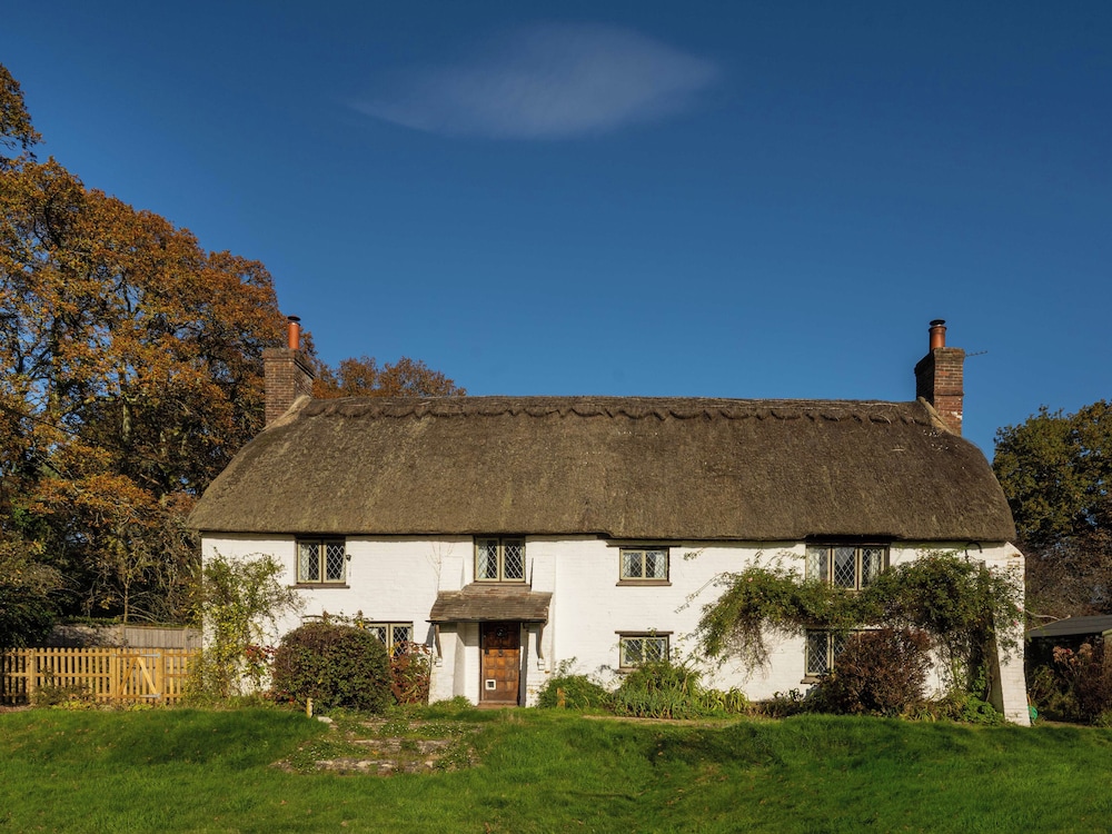 Little Lions Farm