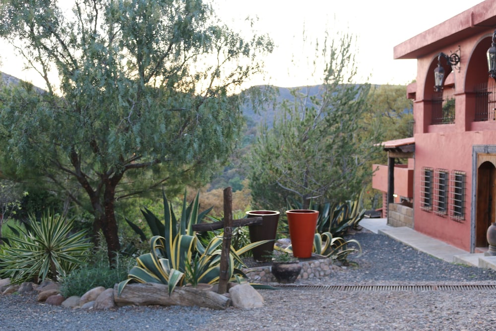 Casas de Guanajuato