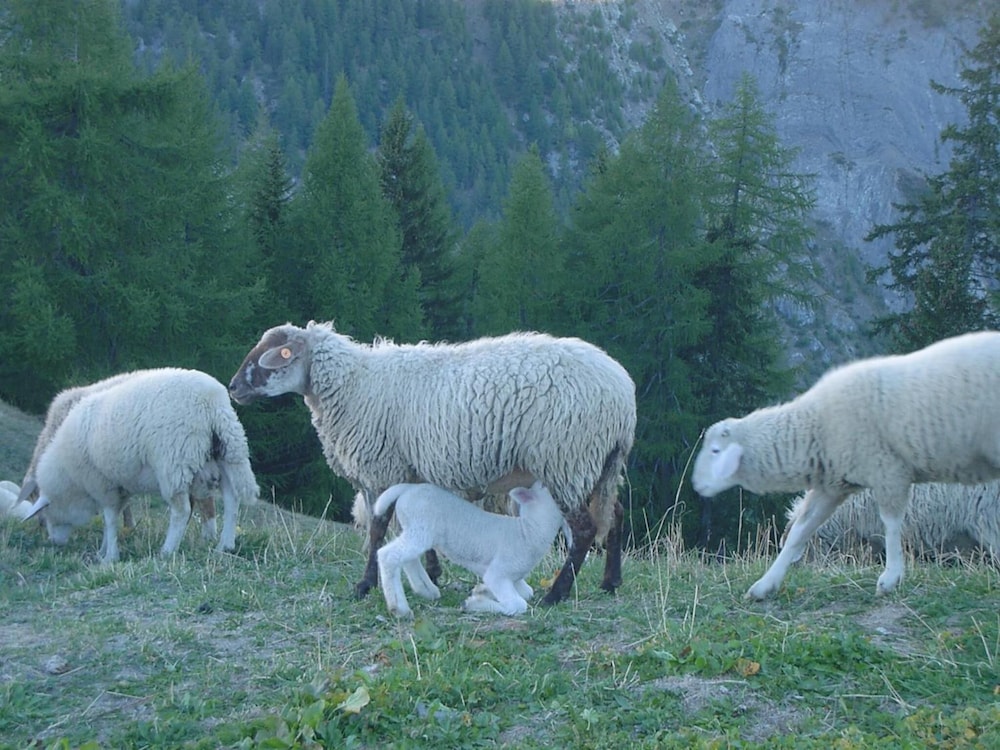 Agriturismo Le Reve