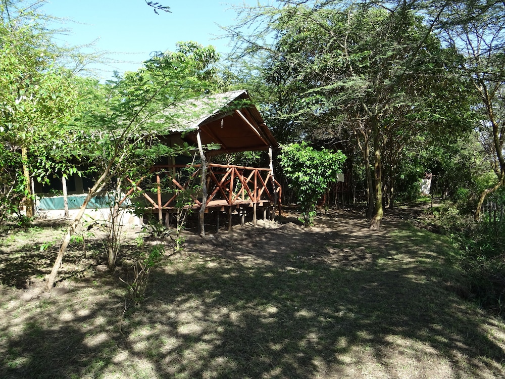 Photo 18