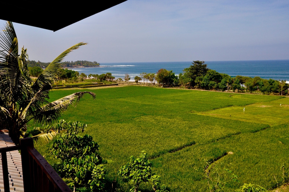 Dikaloha Medewi Surfcamp