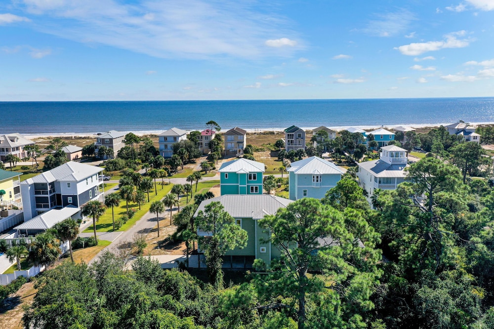 Cape Palms