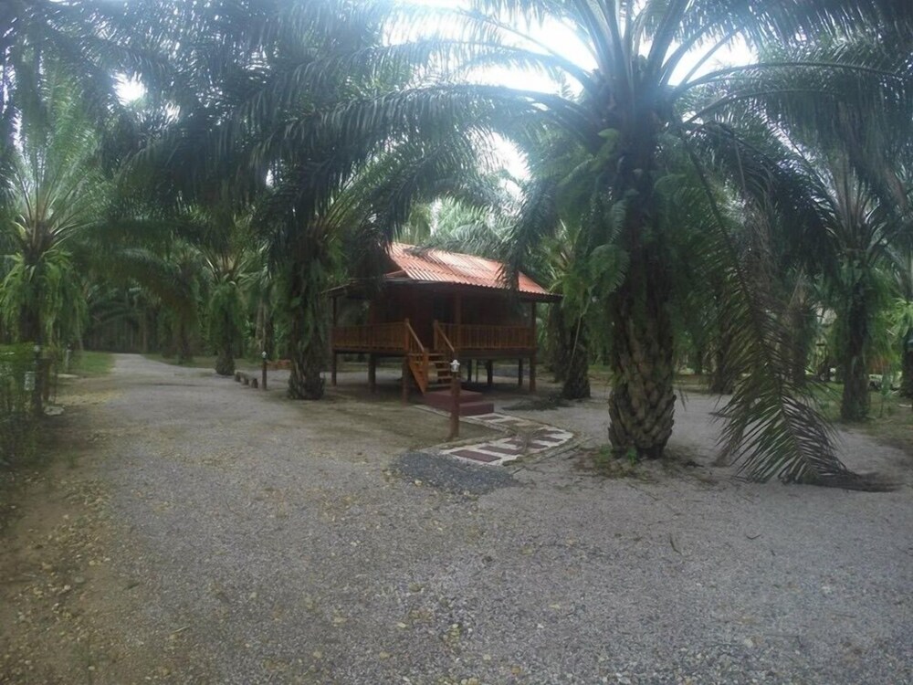 Khaosok Palmview