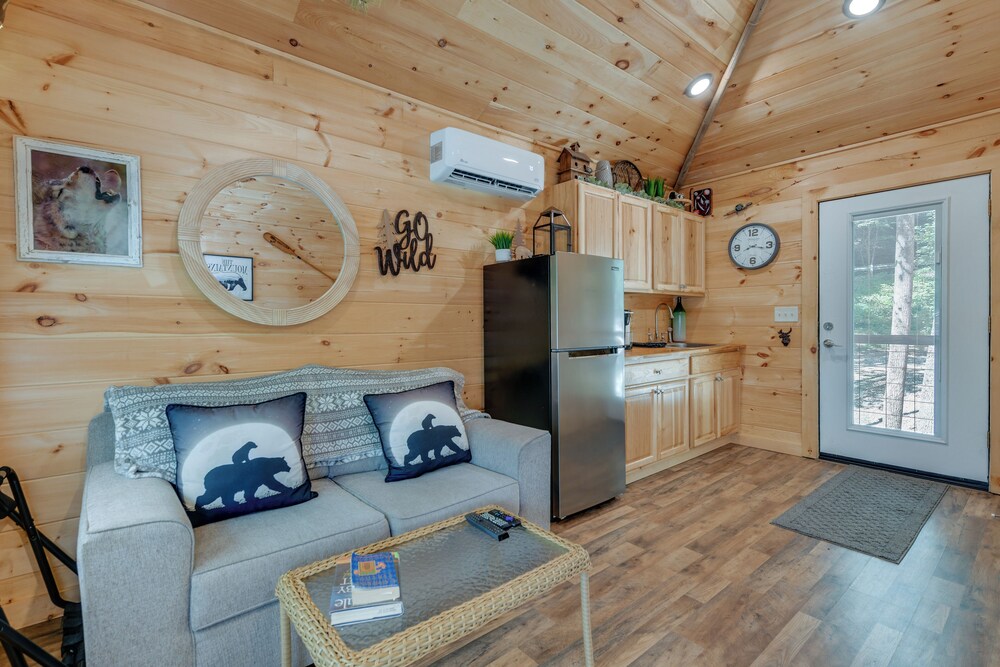 Cosby 'wilderness Cabin' Studio w/ Fire Pit