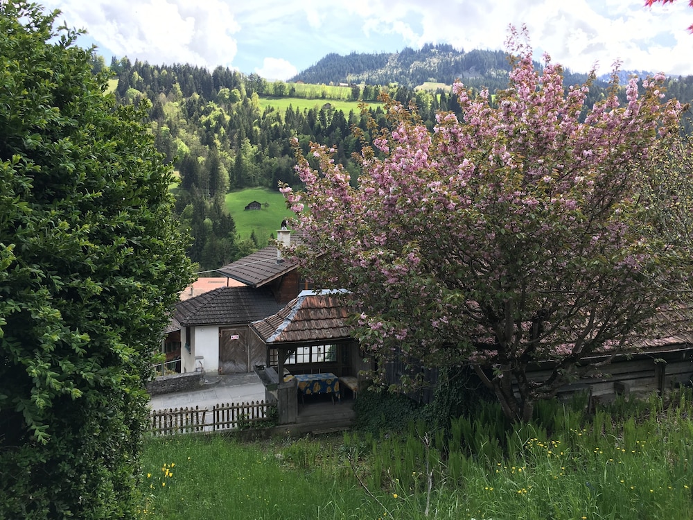 200 Year Old Swiss House