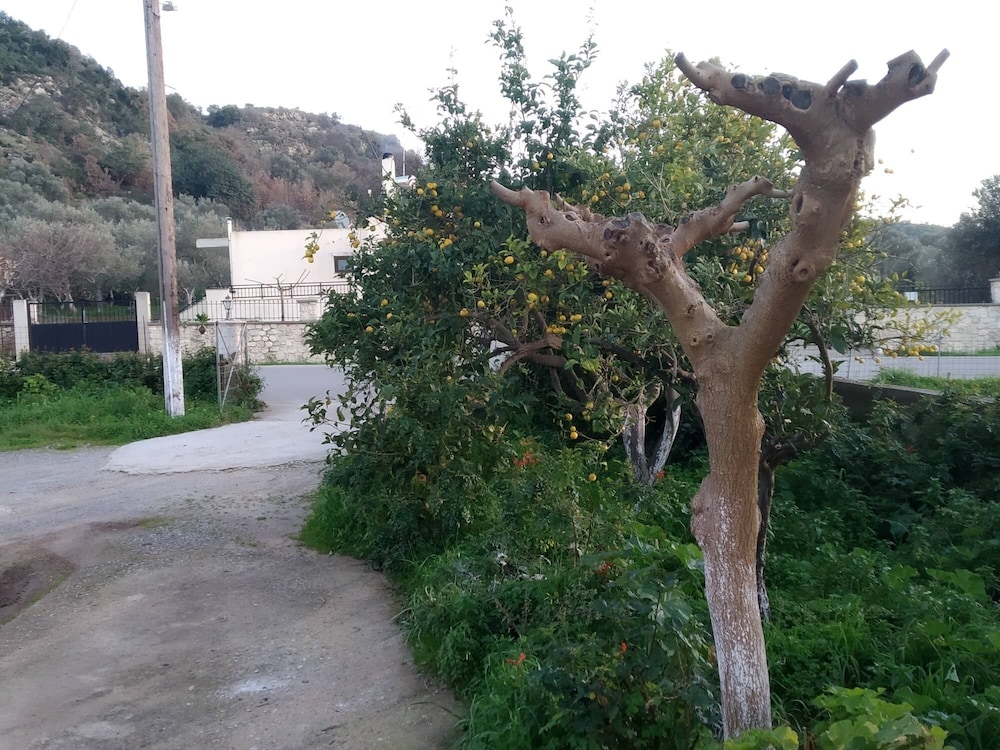 Vallias House