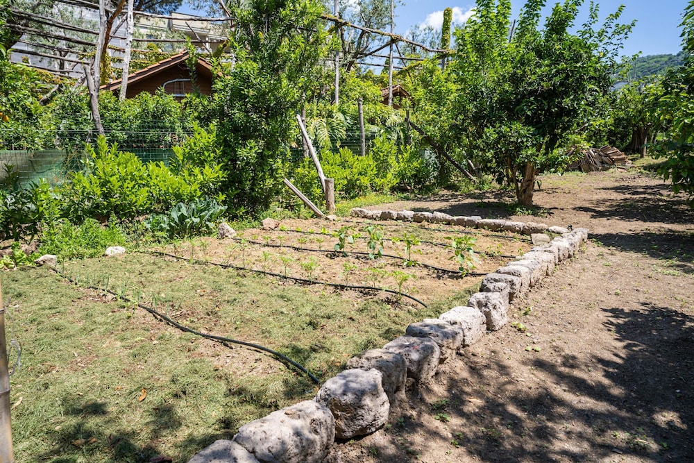 Villa Alice in Sorrento