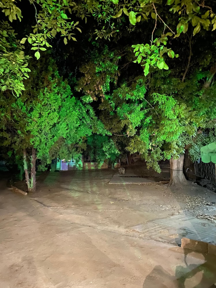 Erdem Ciftligi Ephesus Arena