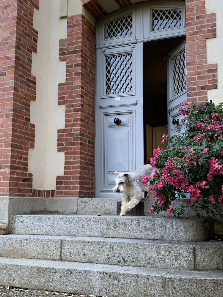 Photo 44