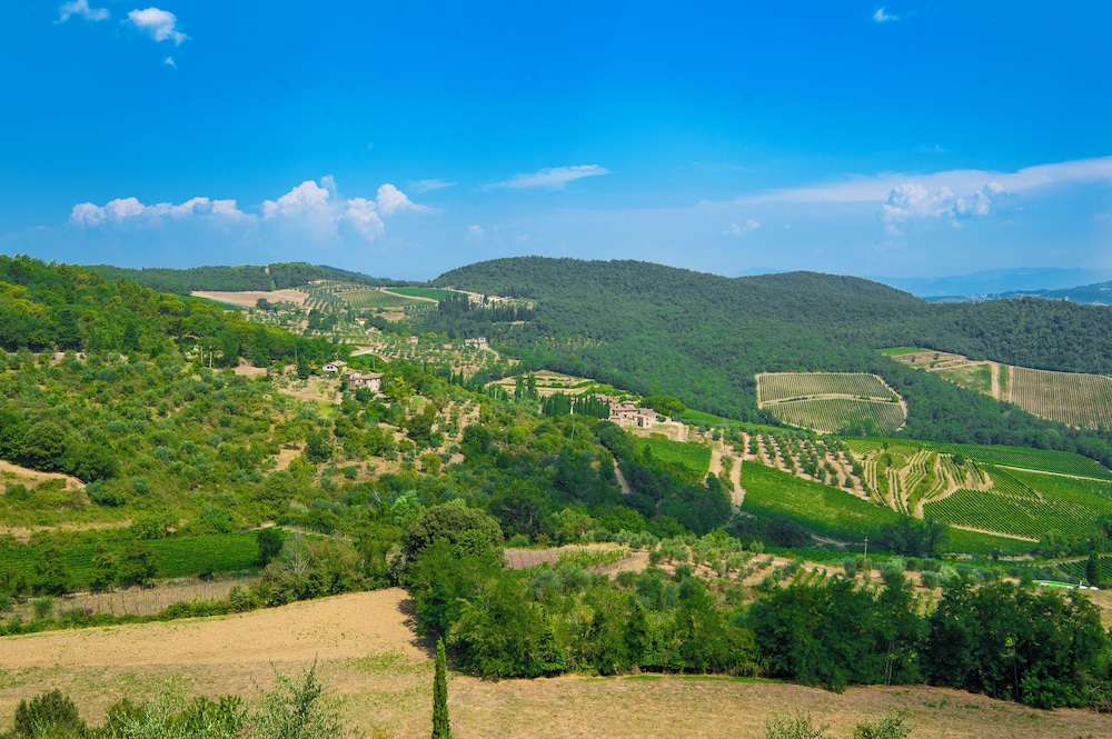 Villa Chianti With Pool Near The Vineyard