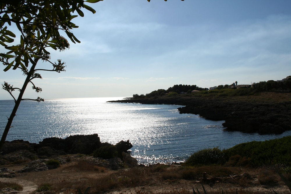 Villa Elisa B&B, photo 14
