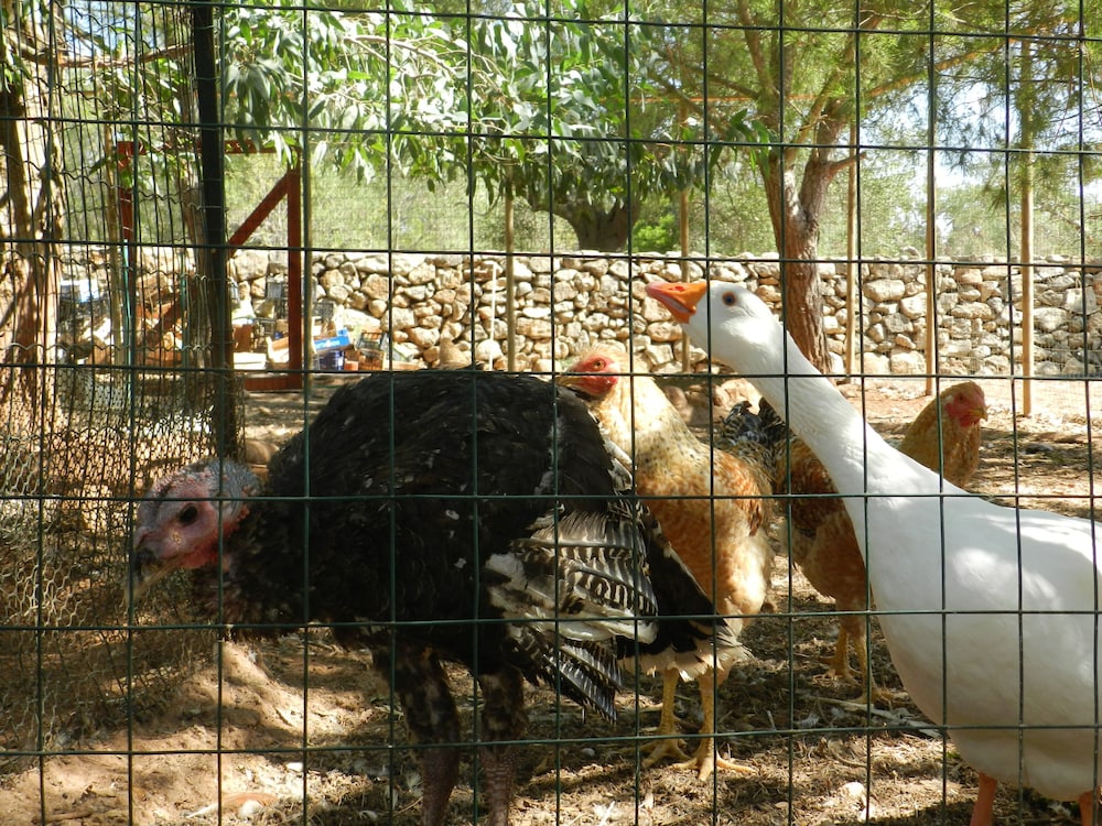 Macchia Salentina