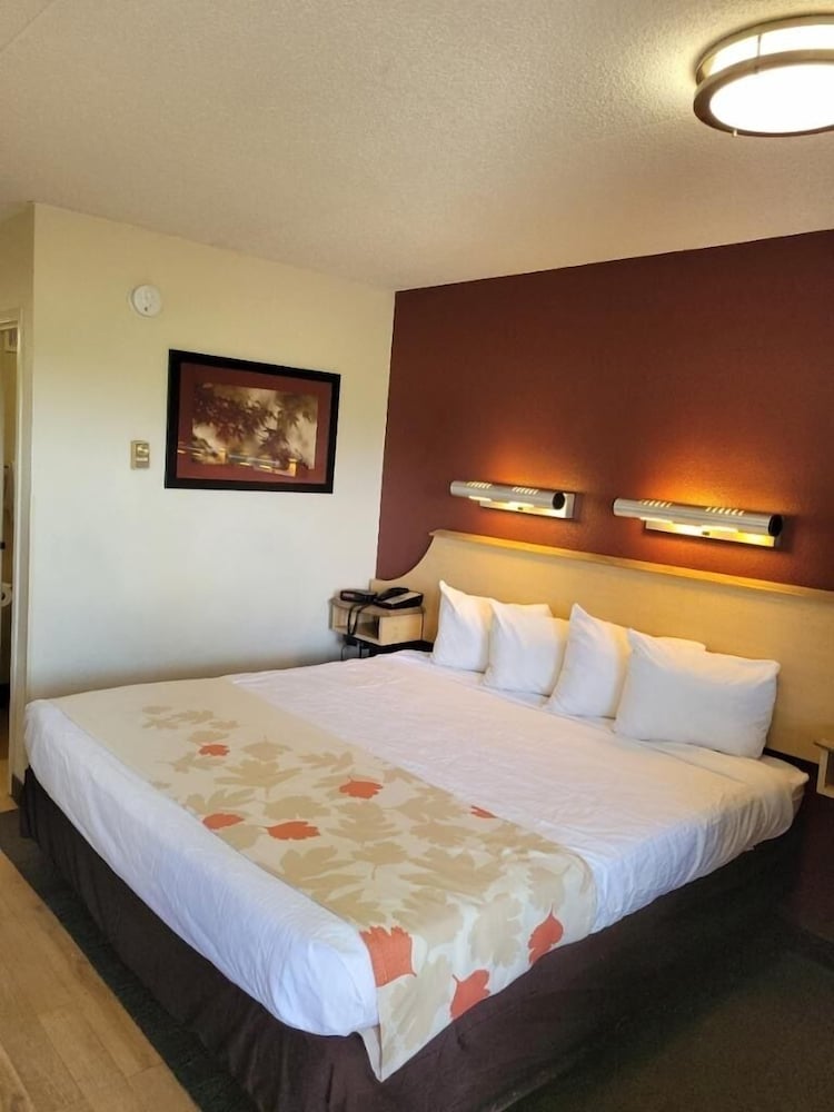 Red Oak Inn Detroit - Southfield view 5