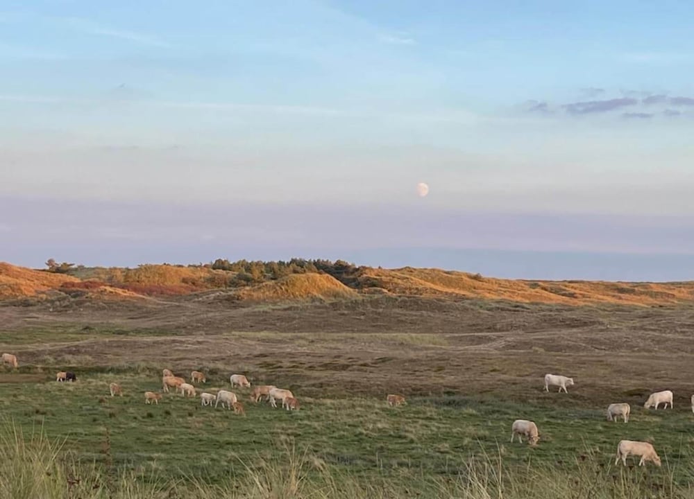 Holiday Home Near Dutch Beach and Dunes