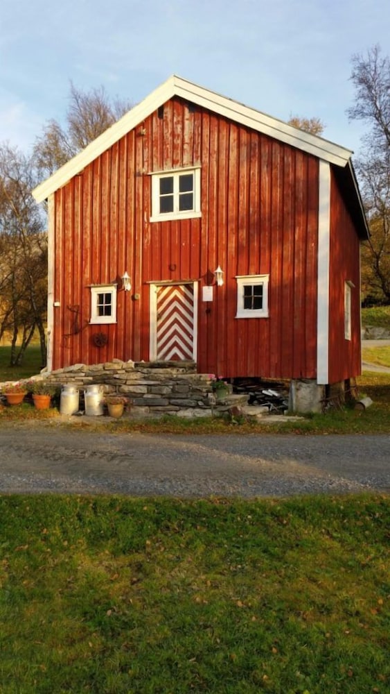 Photo 11