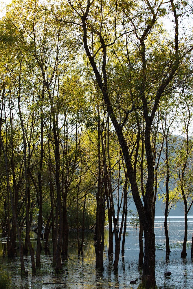 Sierra Lago Resort  Spa - All inclusive - Property Image 77