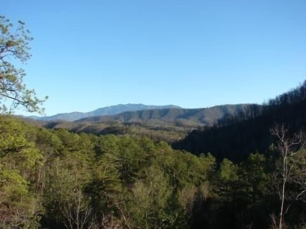 Sleepy Shamrock - 2 Bedrooms, 2 Baths, Sleeps 6 Home by RedAwning
