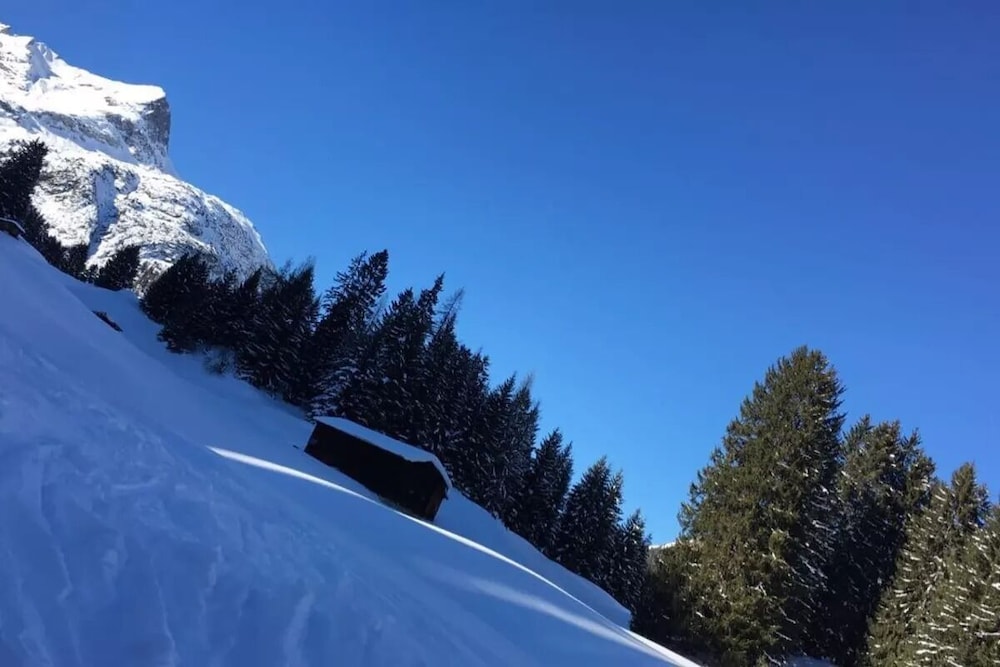 Gastbetrieb Alpenhof