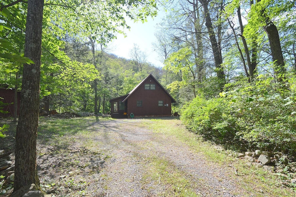 Photo 18