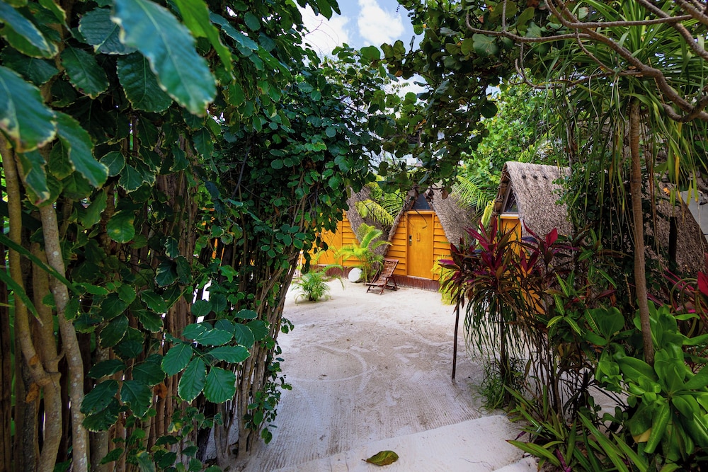 Mía Tulum Tribe