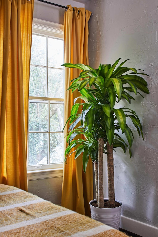 Modern Pet-friendly Retreat Named Best BnB in Bham