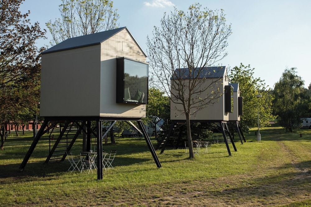 Camp Dzban