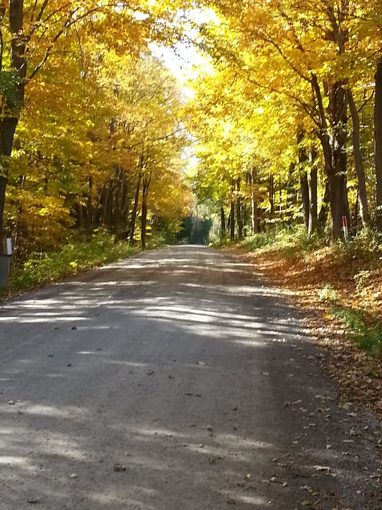 Golden Pathways Retreat and B&B