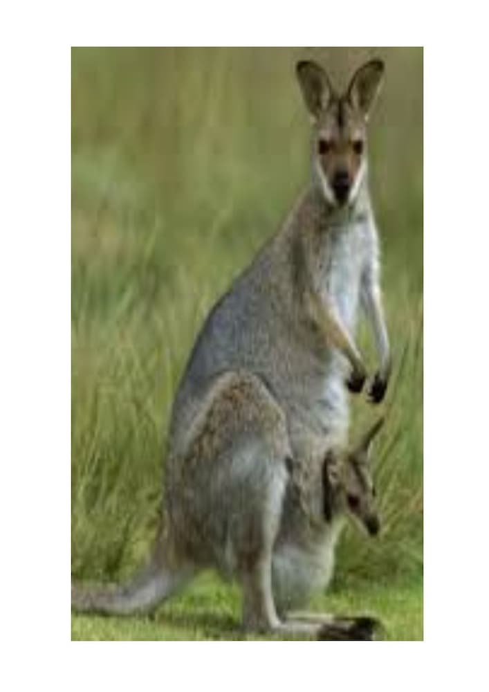 Pearl of Contentment Retreat - Property Image 14