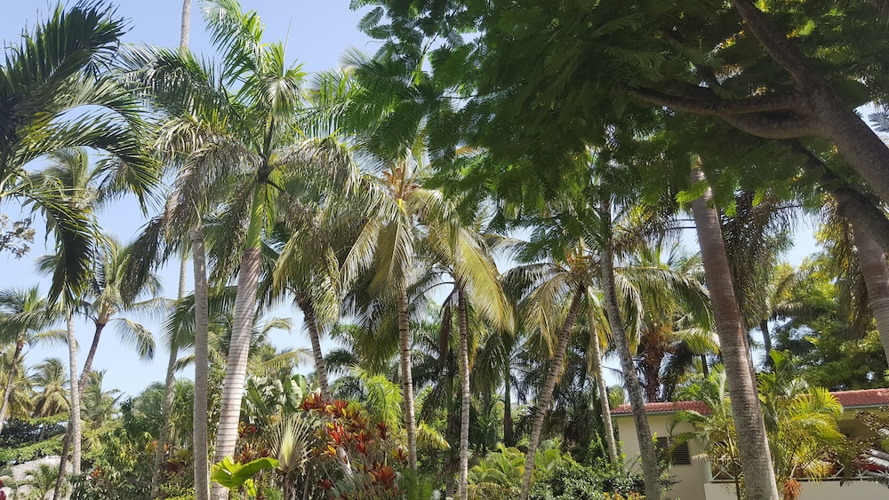 Oasis Hotel Las Terrenas