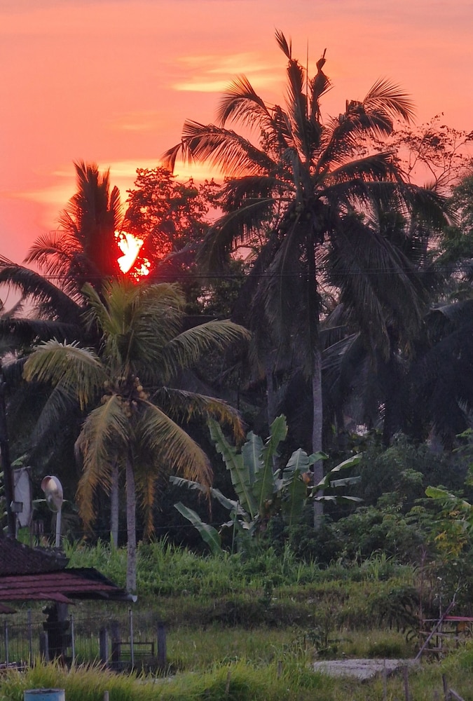 Bali View Ubud