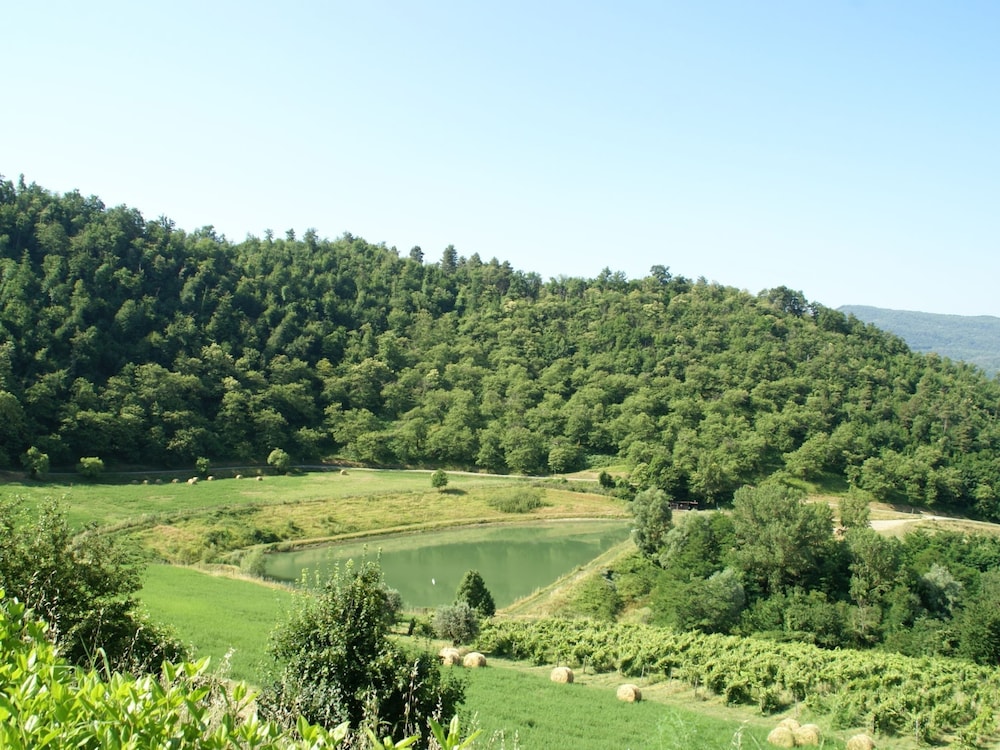 Peaceful Farmhouse in Dicomano view 5