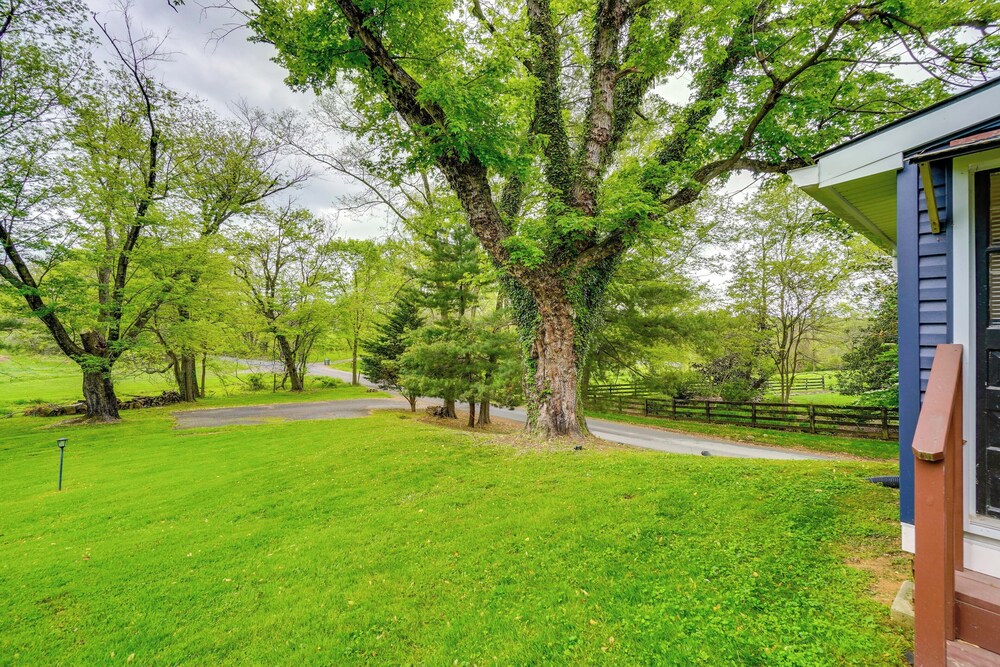 Hike, Sip & Explore: Charming Waterford Cottage!