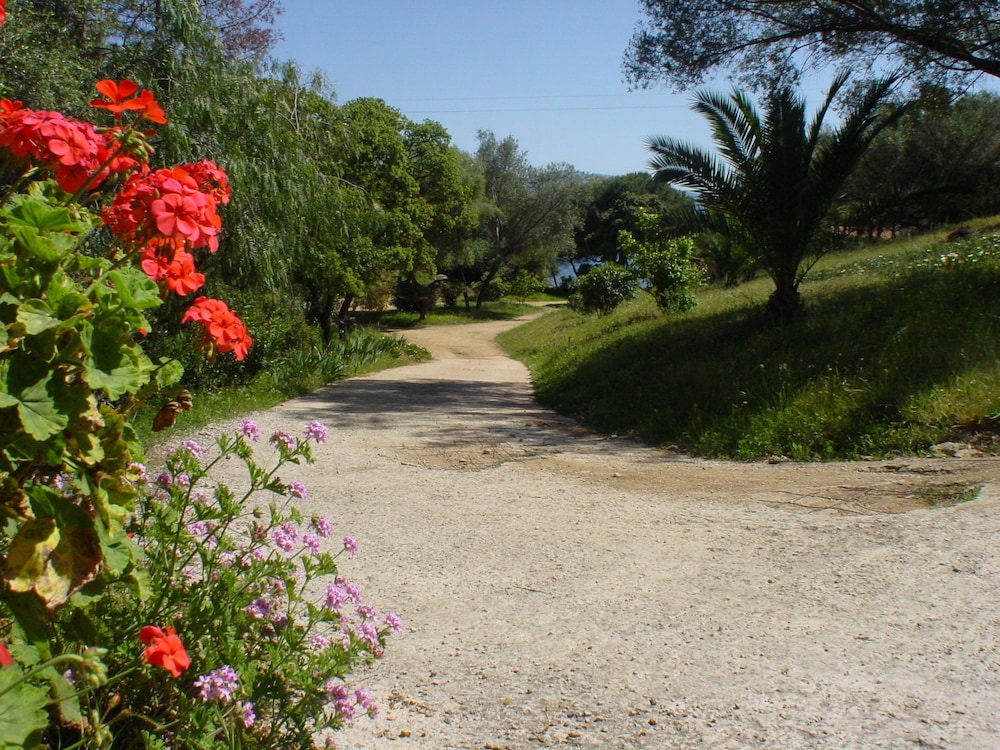 Photo 41