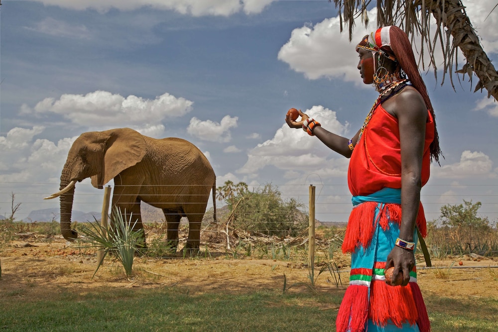 Ashnil Samburu Camp