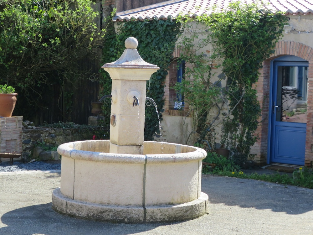 Photo 29
