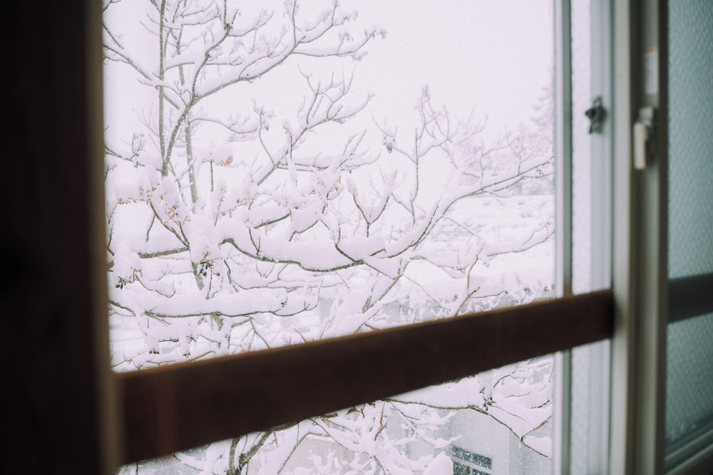 3BD Yuzawa Onsen Lodge - House B