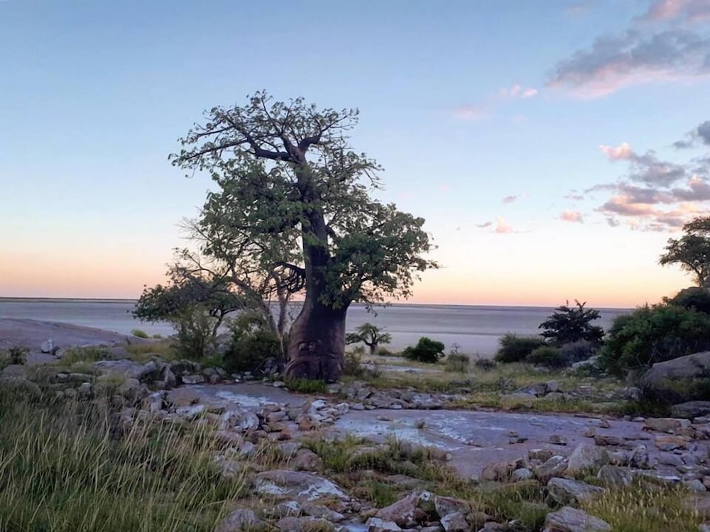 Phudzi Resort T/A Makgadikgadi Adventures