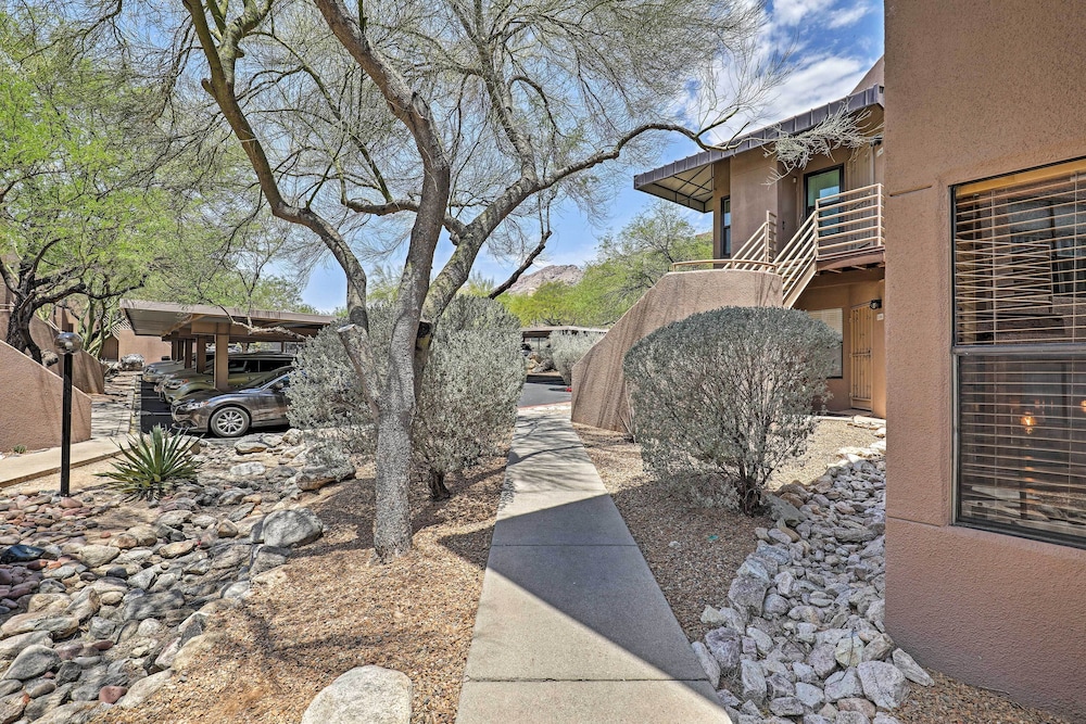 Tucson Desert Retreat w/ Pool + Hot Tub Access! view 4