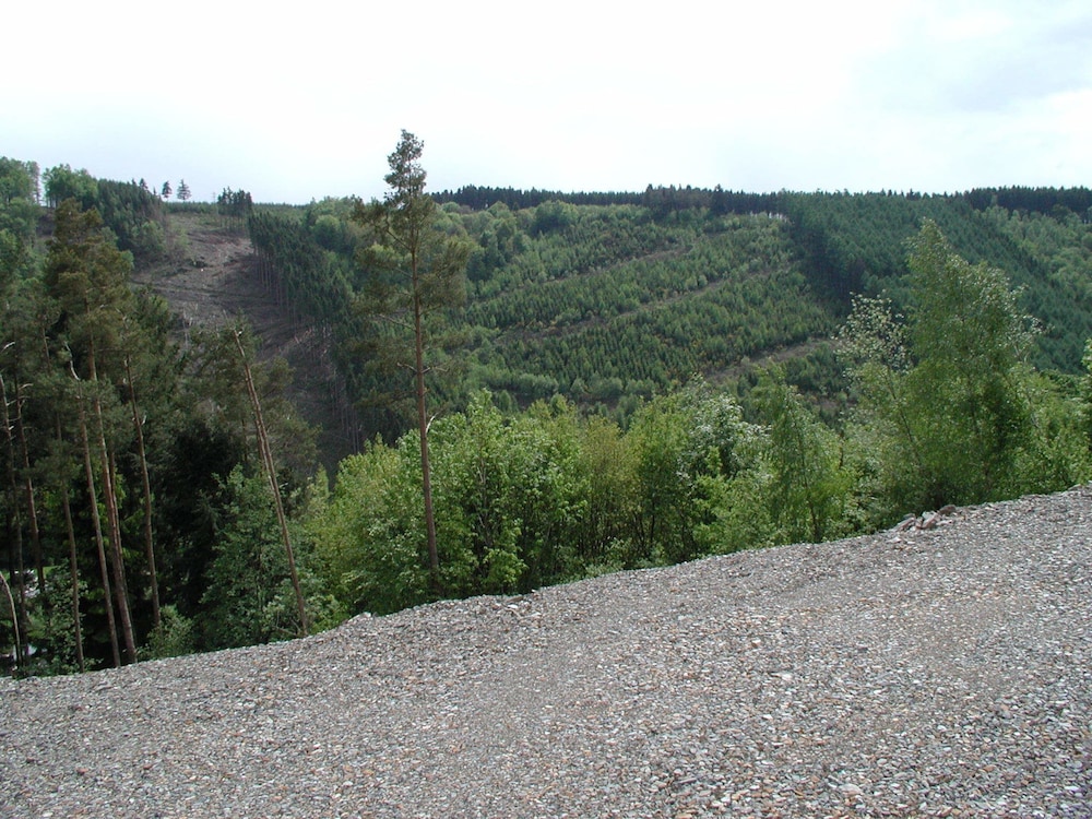 Holiday Home in La Roche With Sauna & Games