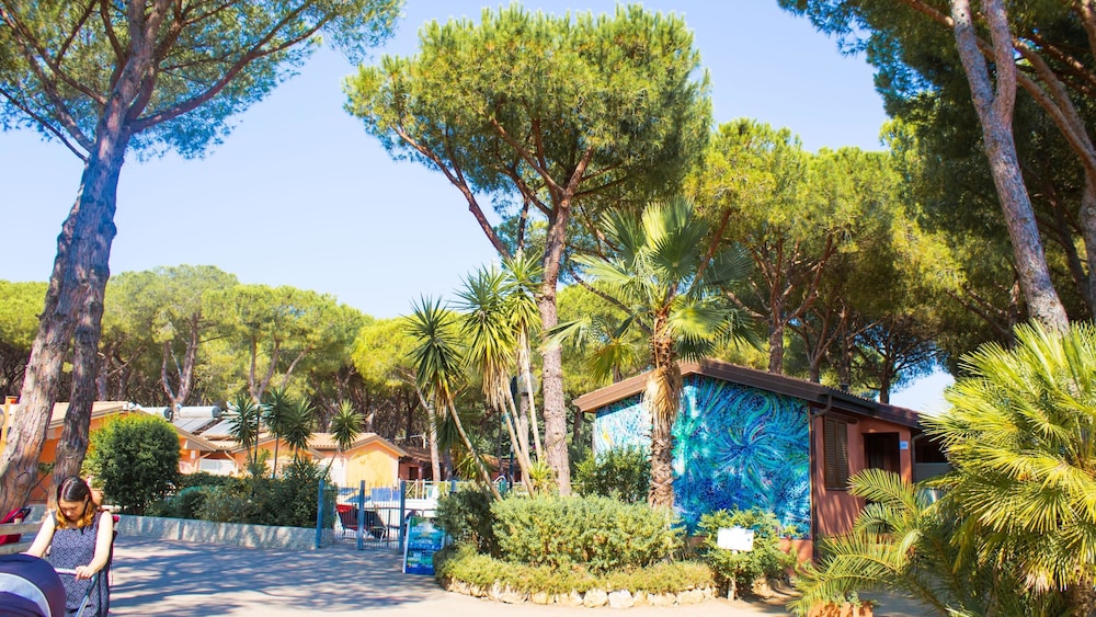 Residence with swimming pool in Albinia just 150 mt from the beach