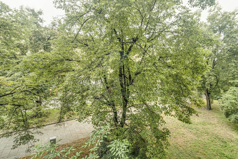 RentPlanet - Apartament Kościuszki view 4