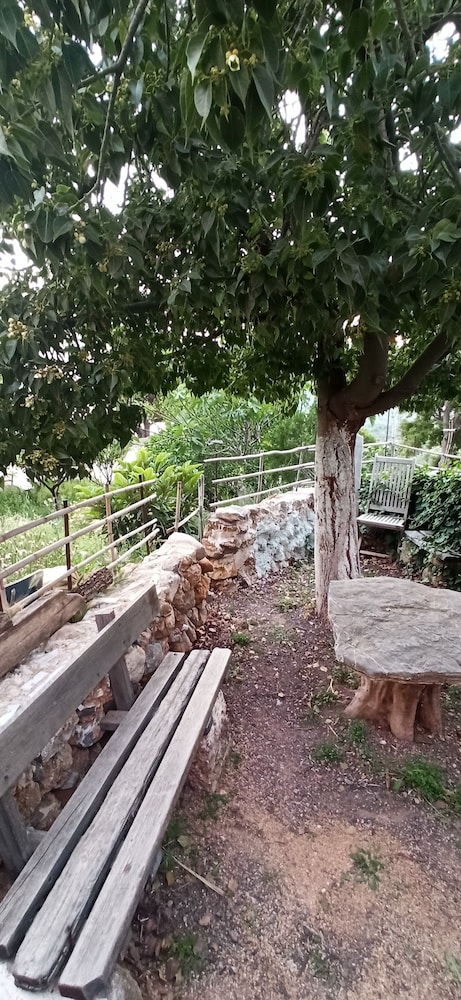 Windy Place