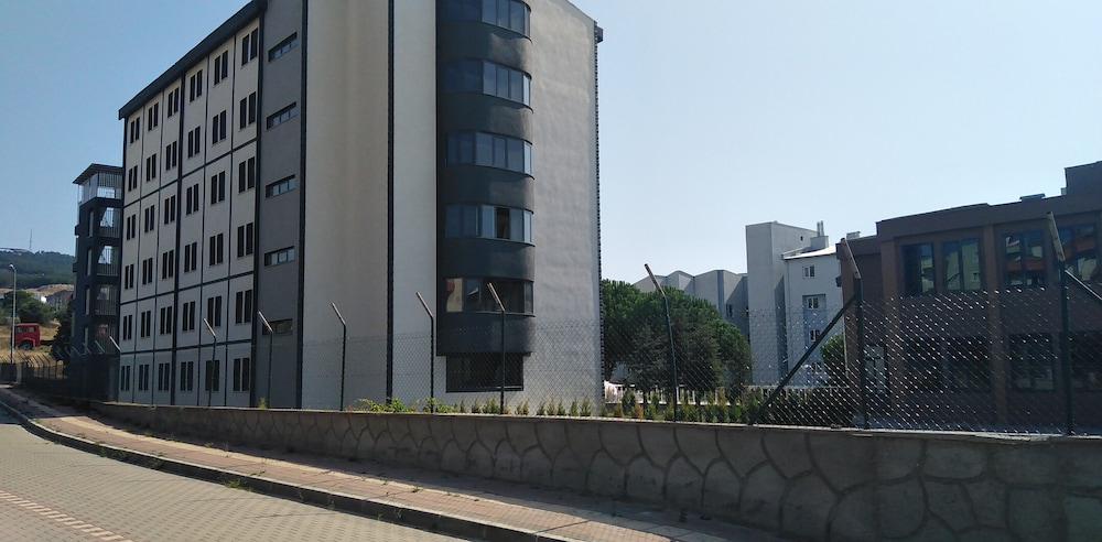 Photo 19