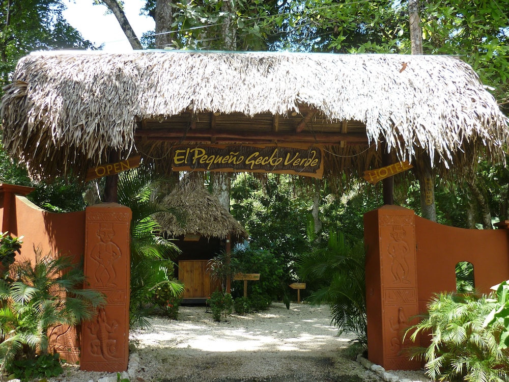 Guanacaste - Costa Rica Vacations - Hotel El Pequeno Gecko Verde - Property Image 2